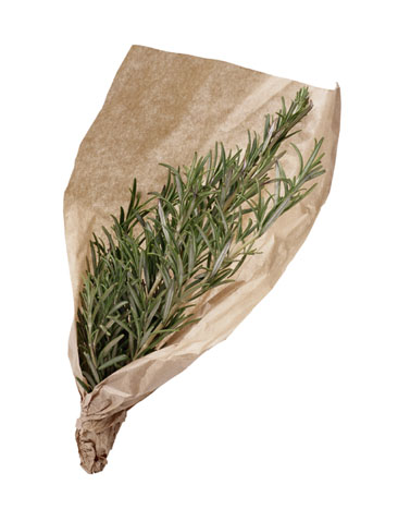 Casa Quickie: Herbal Power For Your Shower