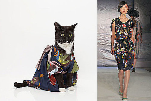 Ralph Lauren Apologies, Street Style in London, Cats on Trend