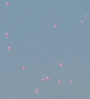 Tampons Descend on Unsuspecting Sunbathers