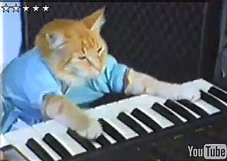 100 Viral Videos in Four Minutes