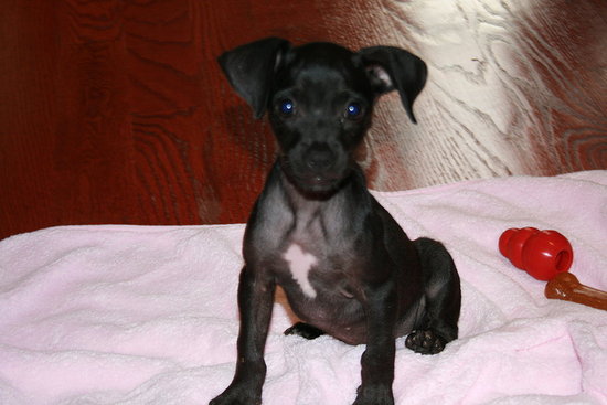 Ms. Minnie