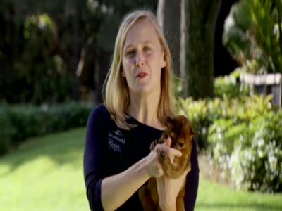 Ask an Animal Trainer: What Kind of Treats Do You Use?