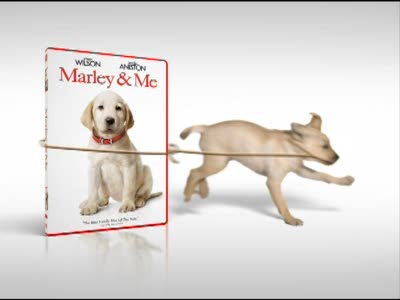 New Marley Trailer