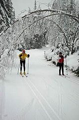 Let's Get Physical:  Cross-Country Skiing