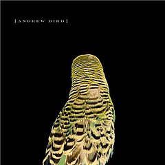 CD Review: Andrew Bird, Armchair Apocrypha