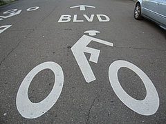 Fittingly Mad:  We ALL Need to Share the Road
