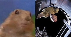 Dramatic Chipmunk makes "Lost" Debut