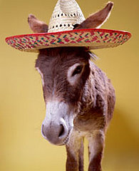 P.L.O.W. - Cinco de Mayo Weekend Mix