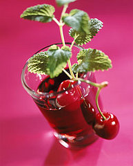 Antioxidants and Alcohol: The Health Conscious Cocktail Trend Antioxidants and Alcohol: The Health Conscious Cocktail Trend