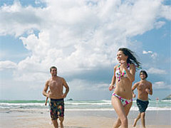 Back to Basics: How The Body Burns Calories Back to Basics: How The Body Burns Calories