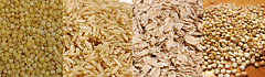 Fiber Quiz: Grains Fiber Quiz: Grains