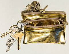 Simply Fab: American Apparel Lamé Coin Purse 