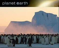 Planet Earth Miniseries: Just ... Wow
