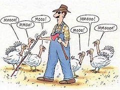 Happy Thanksgiving and Good Night