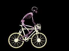 Another Reason to Hit the Gym: Your Bones