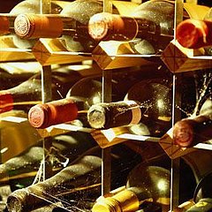 Better Know a Group: Wine Cellar Better Know a Group: Wine Cellar