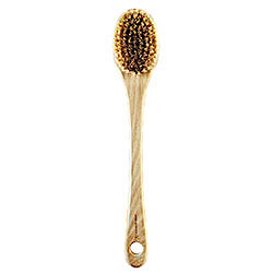 Cactus Body Brush