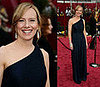 Oscars Red Carpet: Amy Ryan 