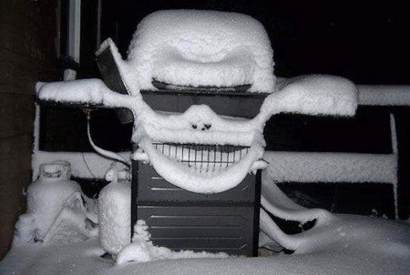 It's a Bird! It's a Skull! It's . . . a Gas Grill Covered in Snow?