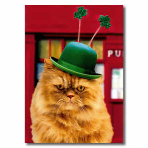 Happy St Patrick's Day