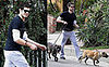 Adam Brody Doubles Up on Doggies