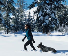 Motivational Exercise Quotes 2008-01-11 16:30:00