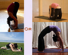 Which Way Do You Like to Bend? 