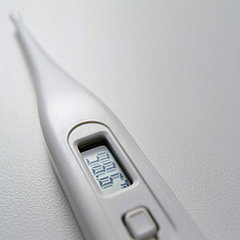 When Is a Fever Too High?