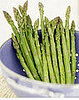 Asparagus Is in Season and Healthy For You Too!