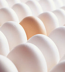 Fact or Fiction: Brown Foods Are Always Better 