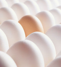 Fact or Fiction: Brown Foods Are Always Better 
