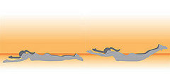 How to Do the Superman Exercise How to Do the Superman Exercise