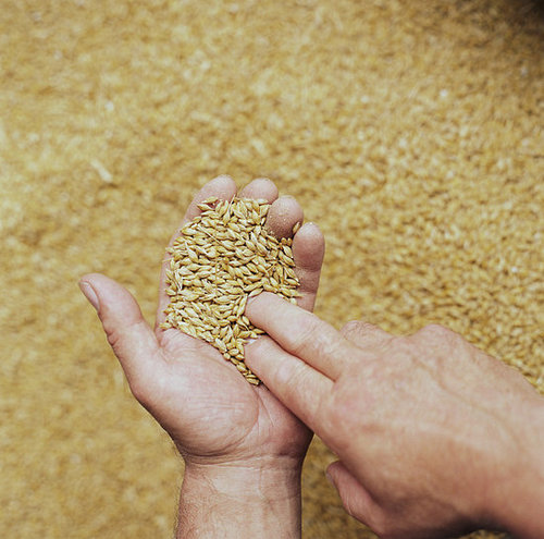 A List of Common Whole Grains