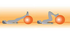 Lying Hamstring Curl on Exercise Ball Lying Hamstring Curl on Exercise Ball
