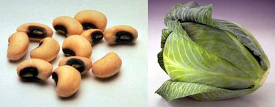 Healthy 2009: Beans and Cabbage