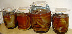 Kombucha Tea: Fact or Fiction Kombucha Tea: Fact or Fiction