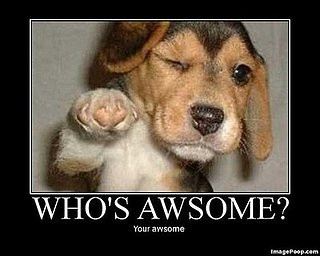 Cute Alert: Motivational Pup