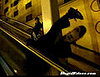 Escalator Accident