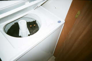 photo_1 photo_1