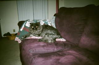 photo_2 photo_2