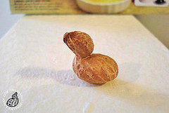 Stuff That Looks Like a Duck Stuff That Looks Like a Duck