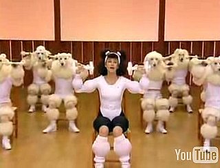 Japanese Poodle Aerobics