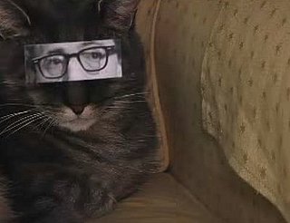 Cat Puts on Disguises