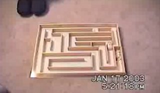 Speedy Hamster Goes Through Maze