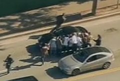 Animal Planet: Paparazzi Attack Britney Spears