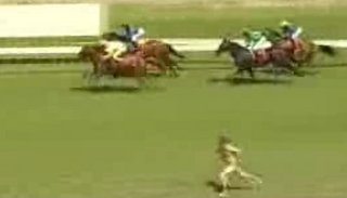 Racetrack Streaker