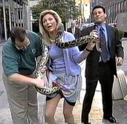 When Giant Pythons Attack!