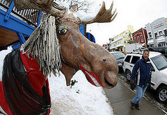 Live From Park City, It's the Sundance Film Festival!