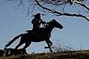 Oscar Movie Preview: Mongol for Best Foreign Film