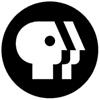 Is Public Television Still Relevant? 